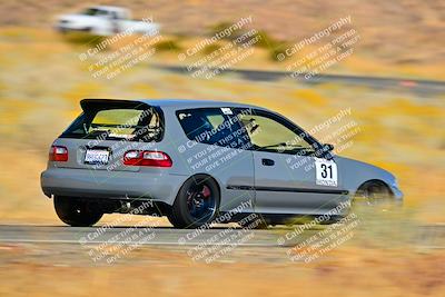 media/Nov-16-2024-Extreme Speed (Sat) [[6587d07cc4]]/Gold Group/Session 2 (Turns 3 and 5)/